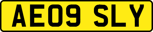 AE09SLY