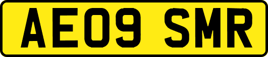 AE09SMR