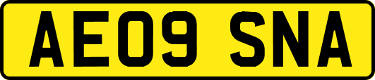 AE09SNA