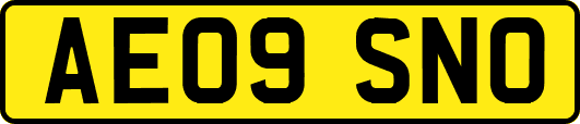 AE09SNO