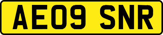 AE09SNR