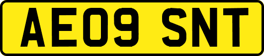 AE09SNT