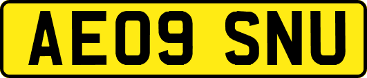 AE09SNU