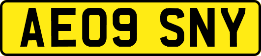 AE09SNY