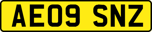 AE09SNZ