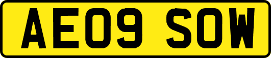 AE09SOW