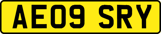 AE09SRY
