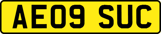 AE09SUC