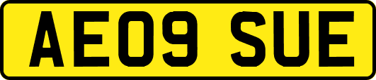 AE09SUE