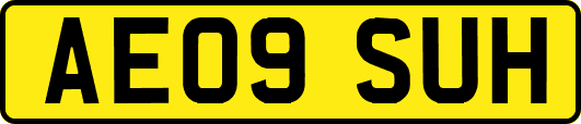 AE09SUH