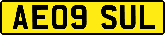AE09SUL