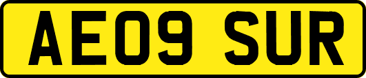 AE09SUR