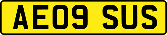 AE09SUS