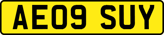 AE09SUY