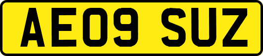 AE09SUZ