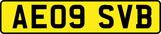 AE09SVB