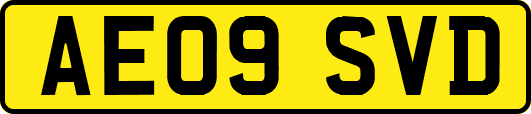 AE09SVD