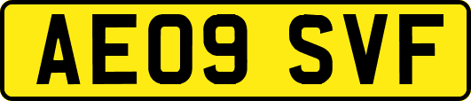AE09SVF