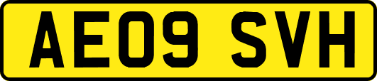 AE09SVH