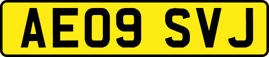 AE09SVJ