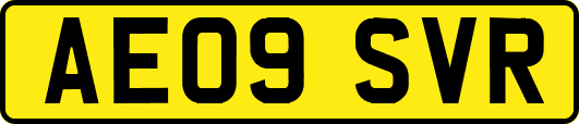 AE09SVR