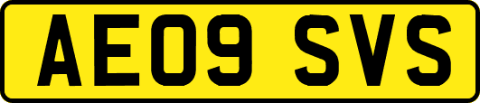AE09SVS