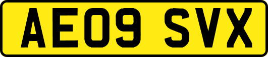 AE09SVX