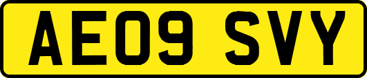 AE09SVY