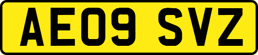 AE09SVZ