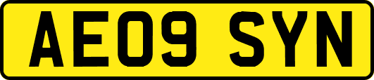 AE09SYN