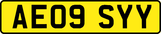 AE09SYY