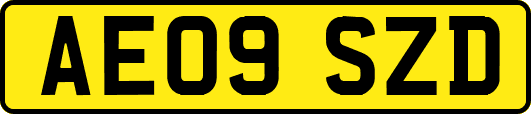 AE09SZD