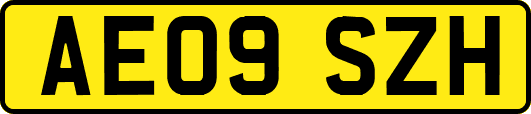 AE09SZH
