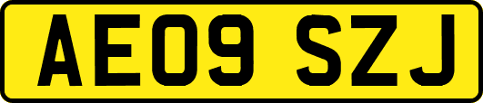 AE09SZJ