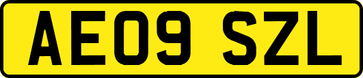 AE09SZL