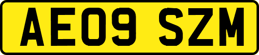 AE09SZM