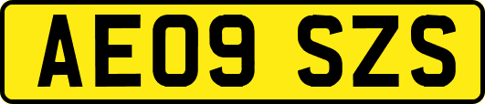 AE09SZS
