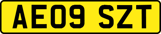 AE09SZT