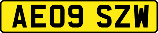 AE09SZW