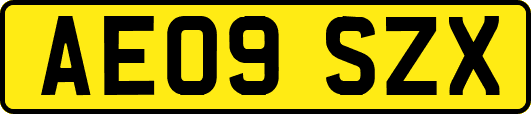 AE09SZX