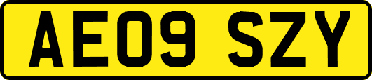 AE09SZY