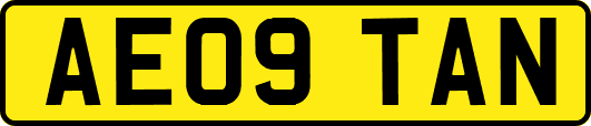 AE09TAN