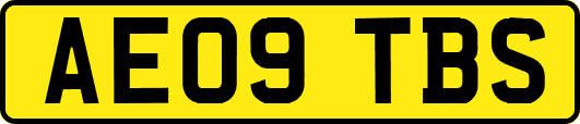 AE09TBS