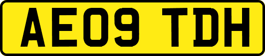AE09TDH