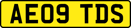 AE09TDS