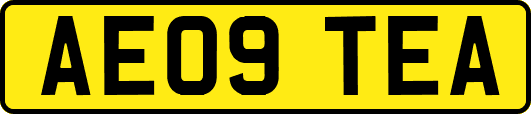 AE09TEA