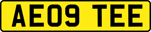 AE09TEE