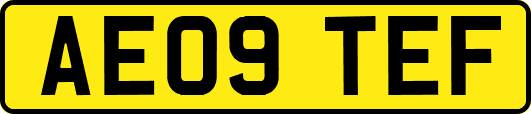 AE09TEF