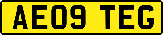 AE09TEG