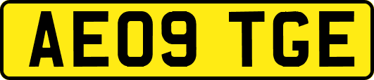 AE09TGE